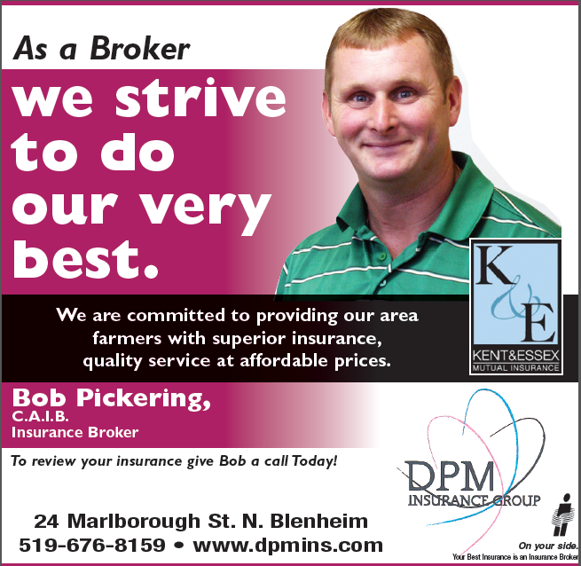 Bob Pickering - DPM Insurance Group Blenhiem